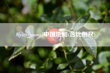 山南中国地图(含比例尺)