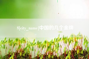 山南中国的几个金牌