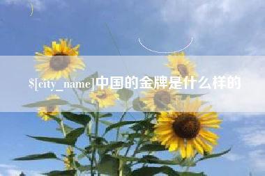 山南中国的金牌是什么样的