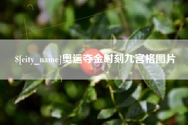 山南奥运夺金时刻九宫格图片
