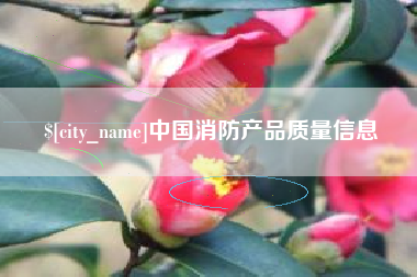 山南中国消防产品质量信息