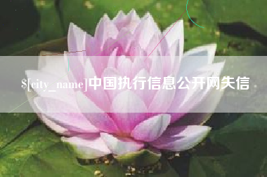 山南中国执行信息公开网失信