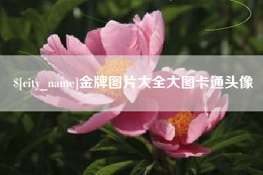 山南金牌图片大全大图卡通头像