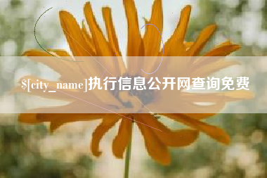 山南执行信息公开网查询免费