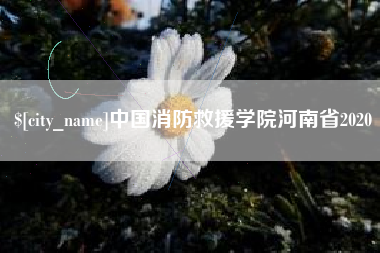 山南中国消防救援学院河南省2020